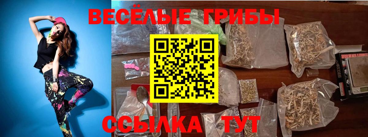 Грозный  Псилоцибиновые грибы Psilocybine cubensis  где можно купить наркотик  Вход с VPN 