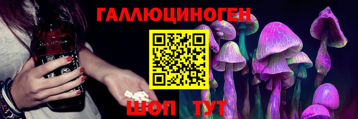 Галлюциногенные грибы мухоморы Грозный